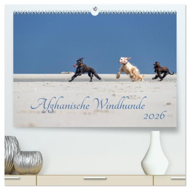 AFGHANISCHE WINDHUNDE 2026 (hochwertiger Premium Wandkalender 2026 DIN A2 quer), Kunstdruck in Hochglanz - Annett Mirsberger annettmirsberger. de