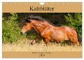 Kaltblüter - Schwere Pferde mit Charme (Wandkalender 2025 DIN A4 quer), CALVENDO Monatskalender - Meike Bölts