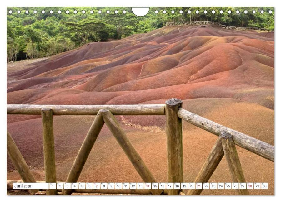 InsideView 11