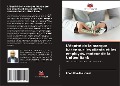 Cover-Bild zum Titel 'L'équité de la marque basée sur les clients et les employés, moteur de la United Bank' von 'Imoh Charles Uford'