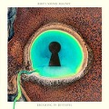 Cover-Bild zum Titel 'Dreaming In Dystopia' von 'Dirty Sound Magnet'