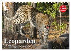 Cover-Bild zum Titel 'Leoparden. Elegante Jäger (Wandkalender 2026 DIN A3 quer), CALVENDO Monatskalender' von 'Elisabeth Stanzer'