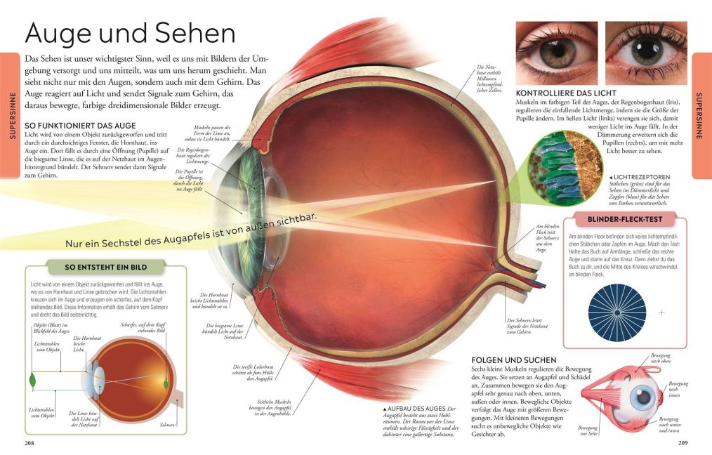 InsideView 7