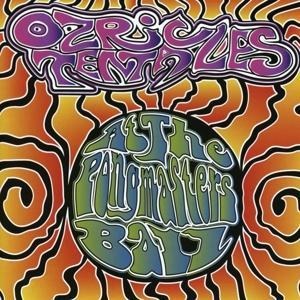 At The Pongmasters Ball - Ozric Tentacles