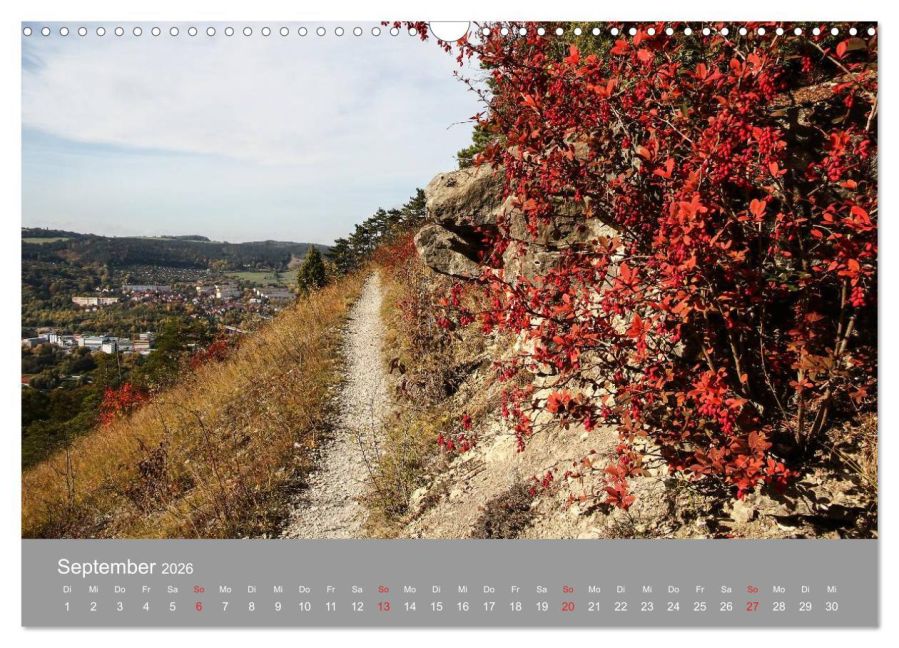 InsideView 14