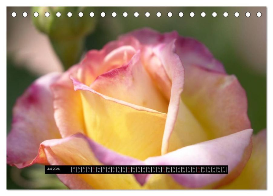 InsideView 12
