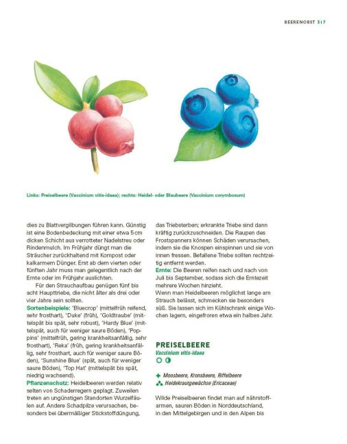 InsideView 15
