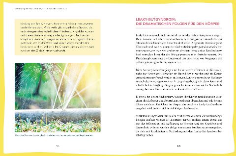 InsideView 5