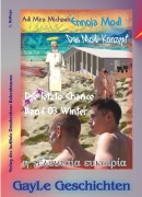 Cover-Bild zum Titel 'Ennoia modi -- Das Modi-Konzept, Band 3, Winter' von 'Adi Mira Michaels'