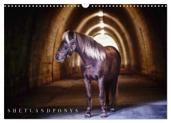 Cover-Bild zum Titel 'Shetlandpony Kalender (Wandkalender 2026 DIN A3 quer), CALVENDO Monatskalender' von 'Nina D. Fotografie'