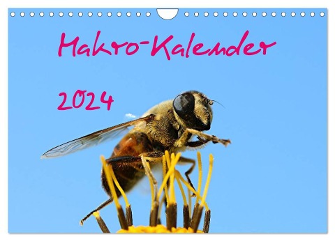 Makro-Kalender 2024 (Wandkalender 2024 DIN A4 quer), CALVENDO Monatskalender - Bernd Witkowski
