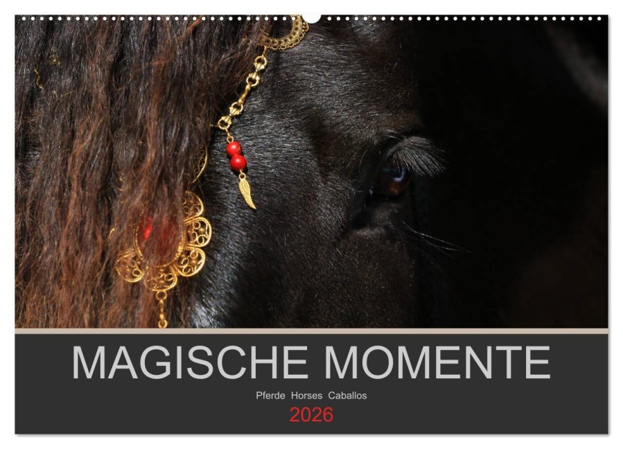 Magische Momente - Pferde Horses Caballos (Wandkalender 2026 DIN A2 quer), CALVENDO Monatskalender - Petra Eckerl Tierfotografie Www. Petraeckerl. Com