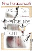 Das mangelnde Licht - Nino Haratischwili