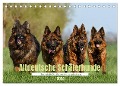 Altdeutsche Schäferhunde - Traumhafte Schäferhunde Langstockhaar (Tischkalender 2024 DIN A5 quer), CALVENDO Monatskalender - Jana K. Fotografie