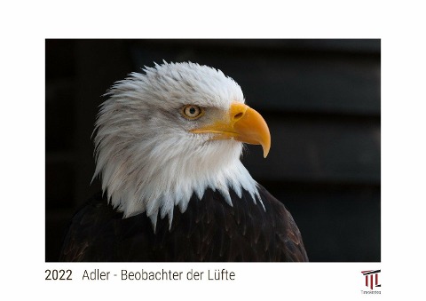 Adler - Beobachter der Lüfte 2022 - White Edition - Timokrates Kalender, Wandkalender, Bildkalender - DIN A4 (ca. 30 x 21 cm) - 