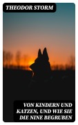 Cover-Bild zum Titel 'Von Kindern und Katzen, und wie sie die Nine begruben' von 'Theodor Storm'