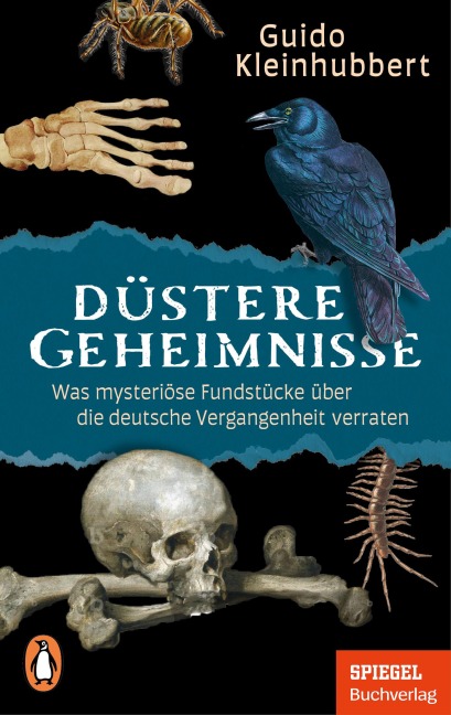 Düstere Geheimnisse - Guido Kleinhubbert