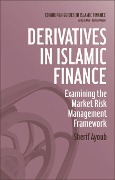 Cover-Bild zum Titel 'Derivatives in Islamic Finance' von 'Sherif Ayoub'
