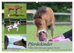 Pferdekinder - Fohlen haben ihren ganz eigenen Charme (Wandkalender 2026 DIN A2 quer), CALVENDO Monatskalender - Barbara Mielewczyk