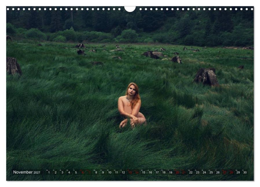 InsideView 3