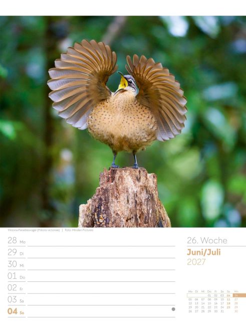 InsideView 30