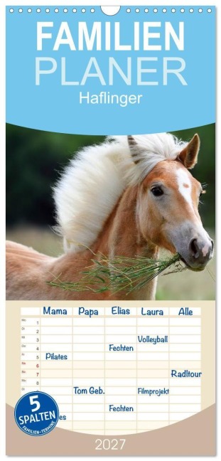 Familienplaner 2027 - Haflinger mit 5 Spalten (Wandkalender, 21 x 45 cm) CALVENDO - Nicole Noack