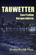Cover-Bild zum Titel 'Tauwetter: Eine PsyCop Kurzgeschichte' von 'Jordan Castillo Price'