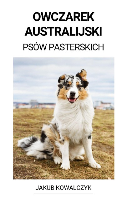 Owczarek Australijski (Psów Pasterskich) - Jakub Kowalczyk