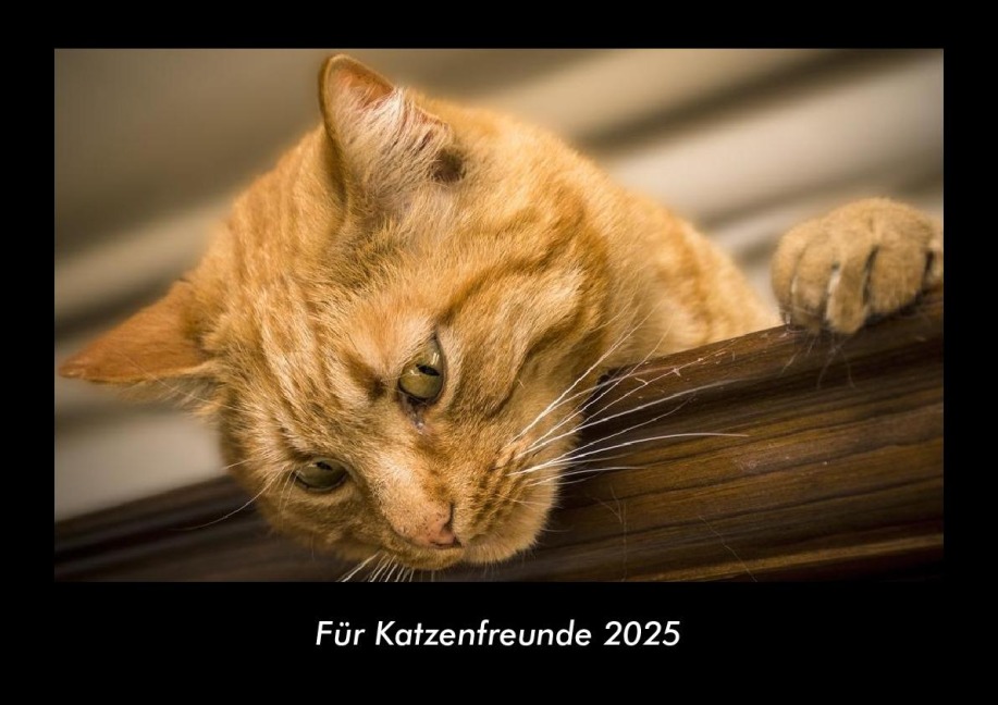 Für Katzenfreunde 2025 Fotokalender DIN A3 - Tobias Becker