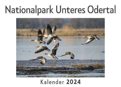 Nationalpark Unteres Odertal (Wandkalender 2024, Kalender DIN A4 quer, Monatskalender im Querformat mit Kalendarium, Das perfekte Geschenk) - Anna Müller