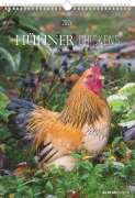 Cover-Bild zum Titel 'Hühner Kalender im Format 29,7 x 42' von ''