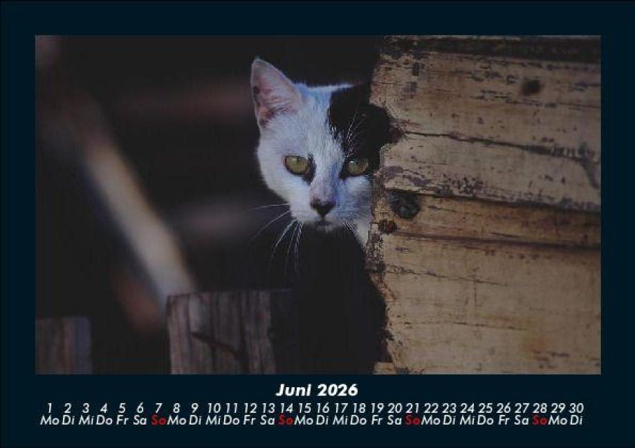 InsideView 10