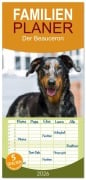 Cover-Bild zum Titel 'Familienplaner 2026 - Der Beauceron mit 5 Spalten (Wandkalender, 21 x 45 cm) CALVENDO' von 'Annett Mirsberger'