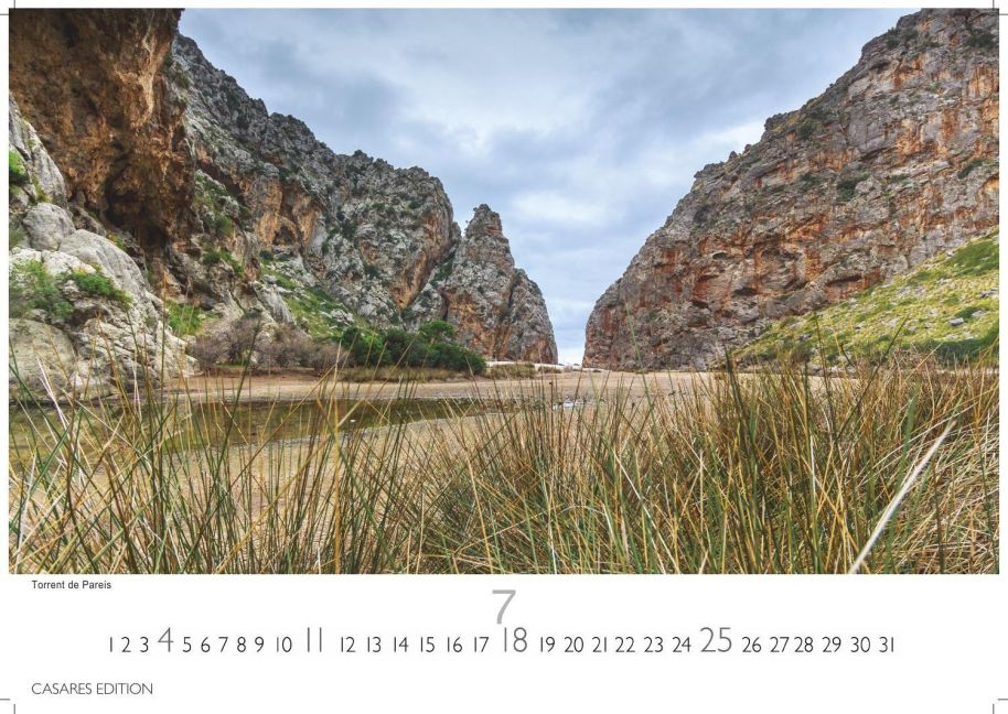 InsideView 7