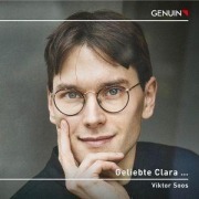 Cover-Bild zum Titel 'Geliebte Clara...' von 'Viktor Soos'
