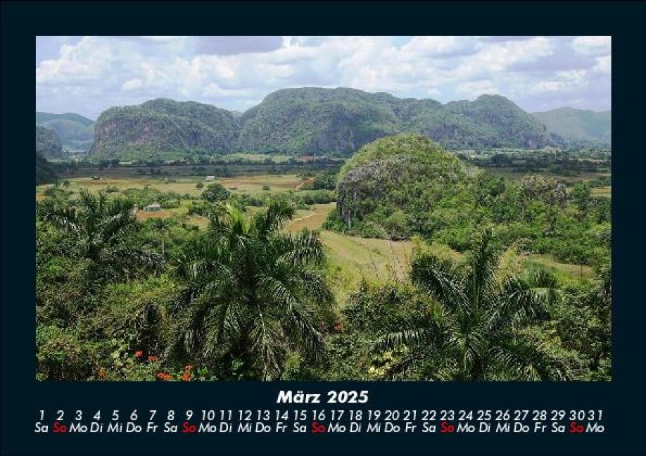 InsideView 7