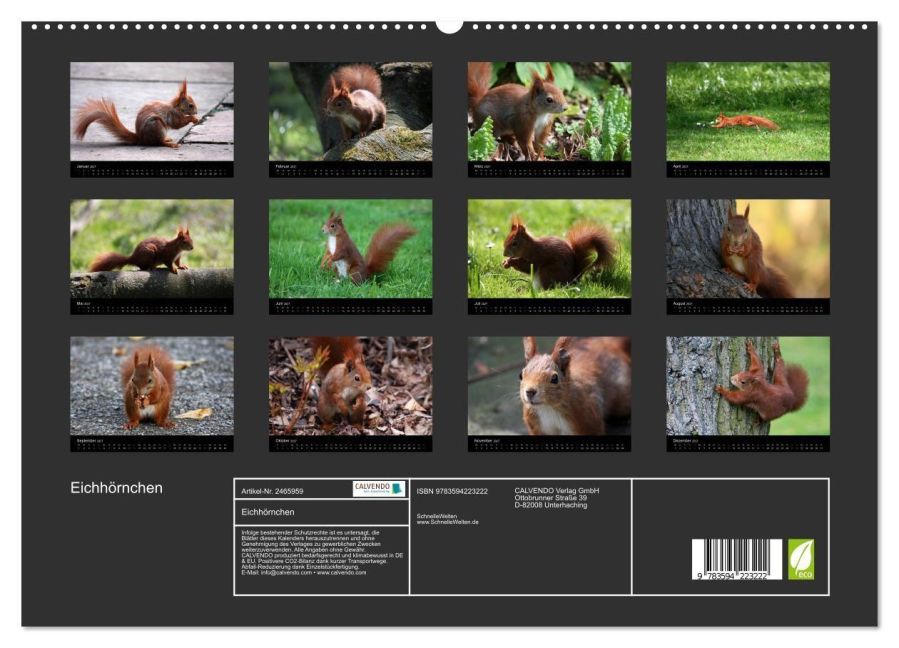 InsideView 4