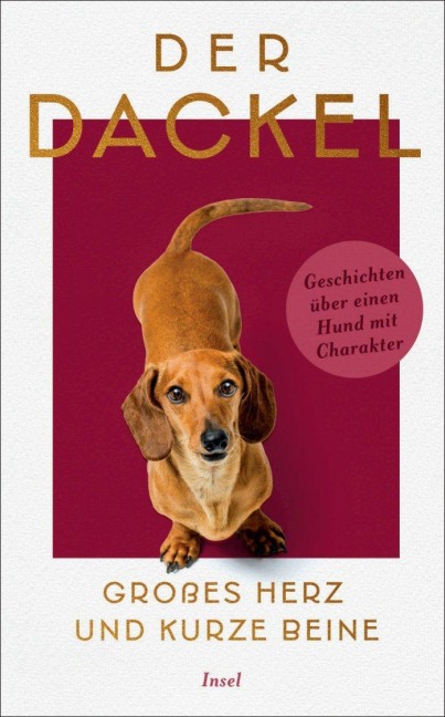 Der Dackel. Großes Herz und kurze Beine. - 