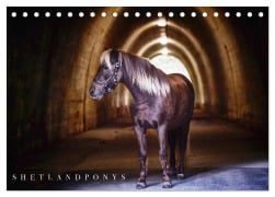 Cover-Bild zum Titel 'Shetlandpony Kalender (Tischkalender 2026 DIN A5 quer), CALVENDO Monatskalender' von 'Nina D. Fotografie'