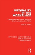 Cover-Bild zum Titel 'Inequality in the Workplace' von 'José M. Soltero'