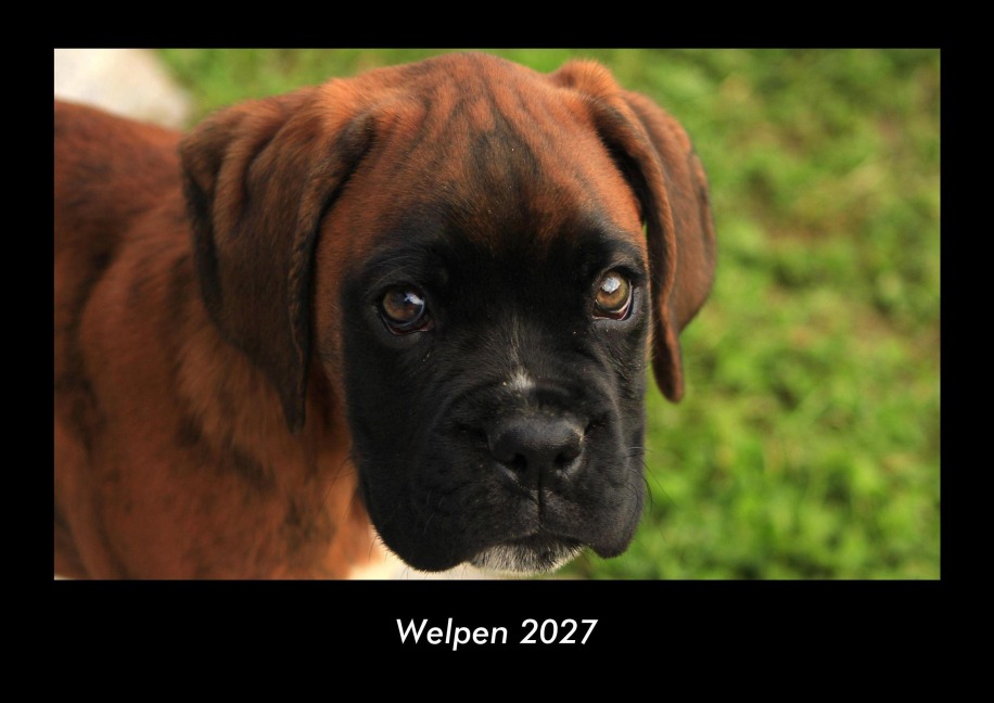 Welpen 2027 Fotokalender DIN A3 - Tobias Becker
