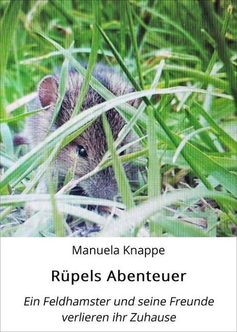 Rüpels Abenteuer - Manuela Knappe