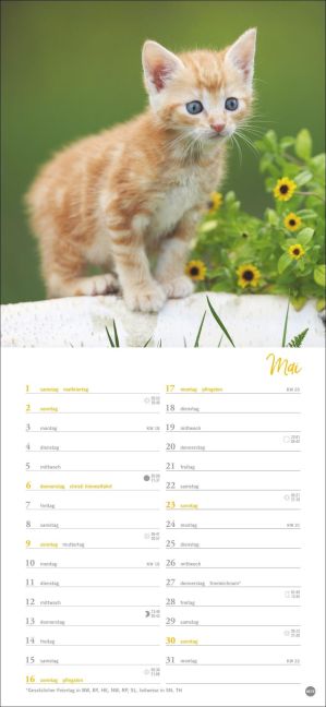 InsideView 5