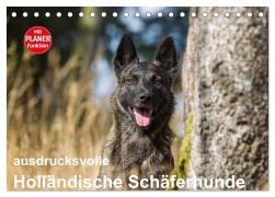 Cover-Bild zum Titel 'ausdrucksvolle Holländische Schäferhunde (Tischkalender 2026 DIN A5 quer), CALVENDO Monatskalender' von 'Fotodesign Verena Scholze'
