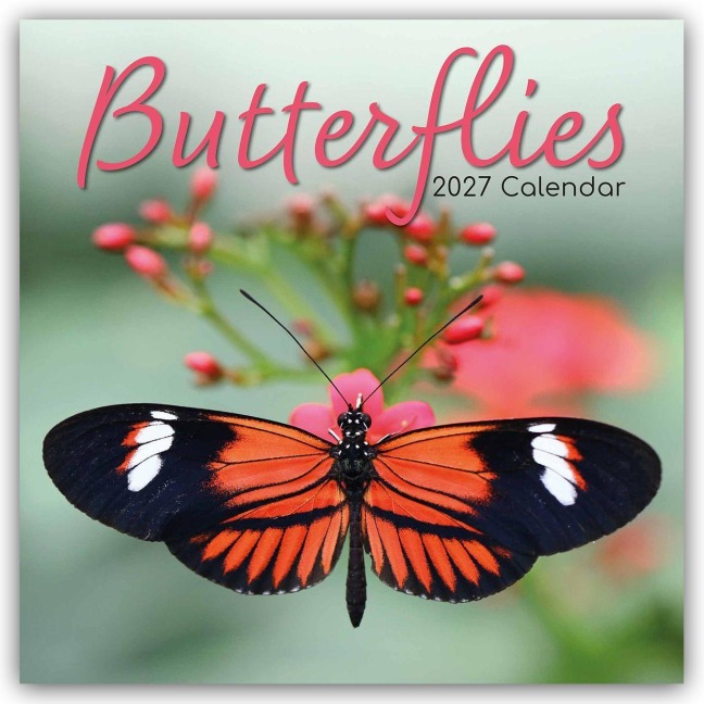 Butterflies - Schmetterlinge 2027 - 16-Monatskalender - Gifted Stationery Co. Ltd