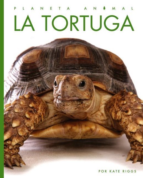 La Tortuga - Kate Riggs