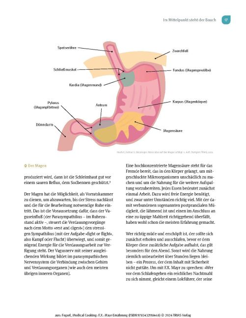 InsideView 13
