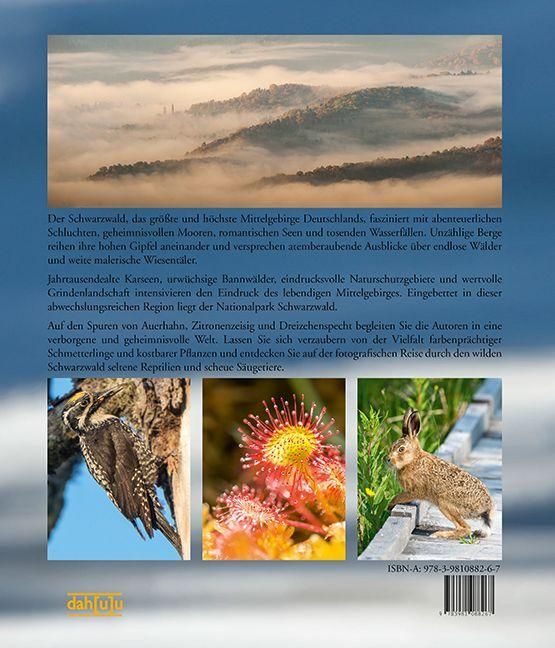InsideView 10