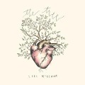 Cover-Bild zum Titel 'The Tree' von 'Lori McKenna'