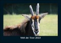 Welt der Tiere 2023 Fotokalender DIN A5 - Tobias Becker